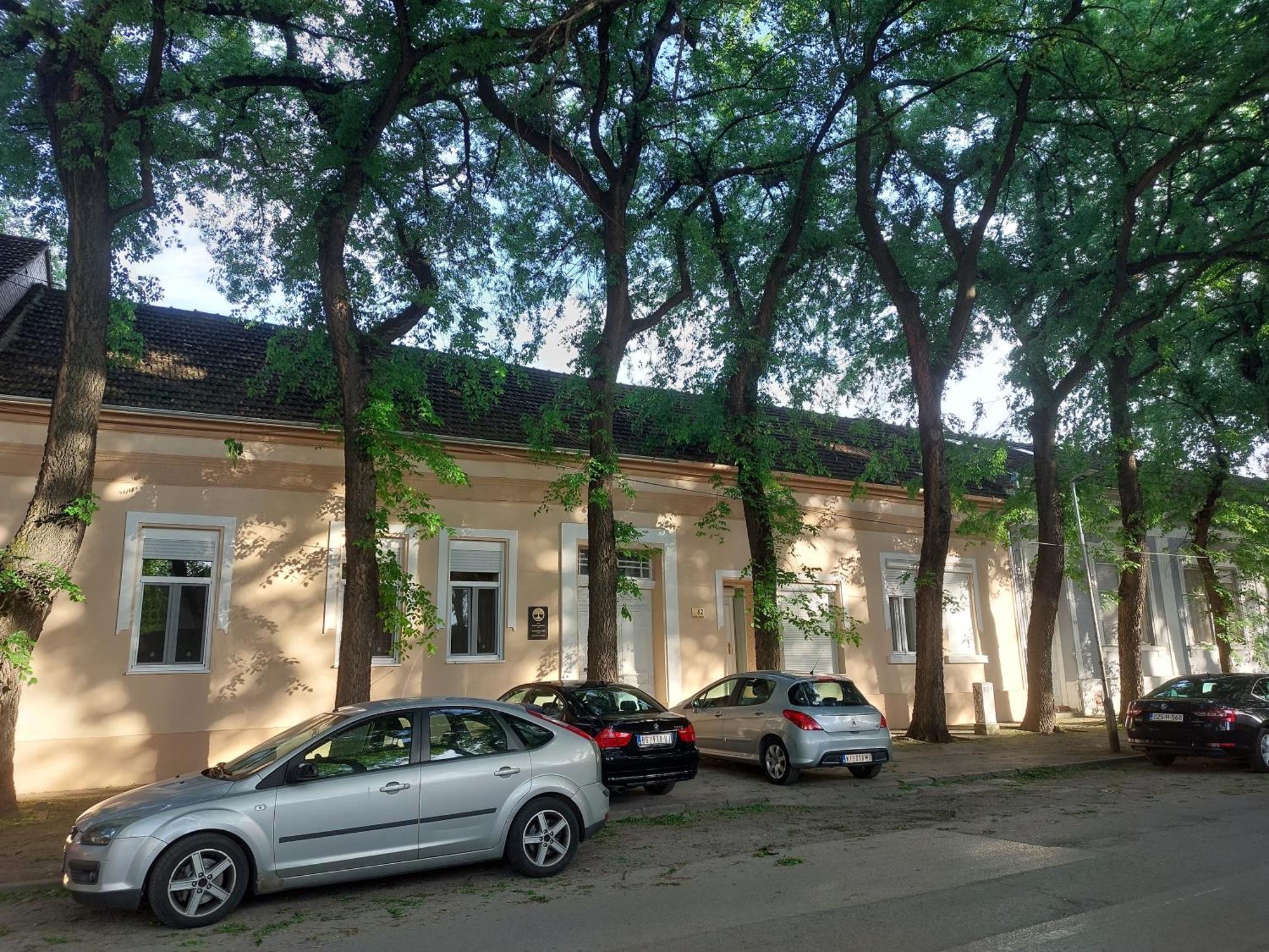 Cudesni Drvored Kikinda Exteriör bild